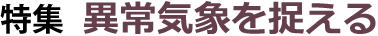 ُCۂ𑨂